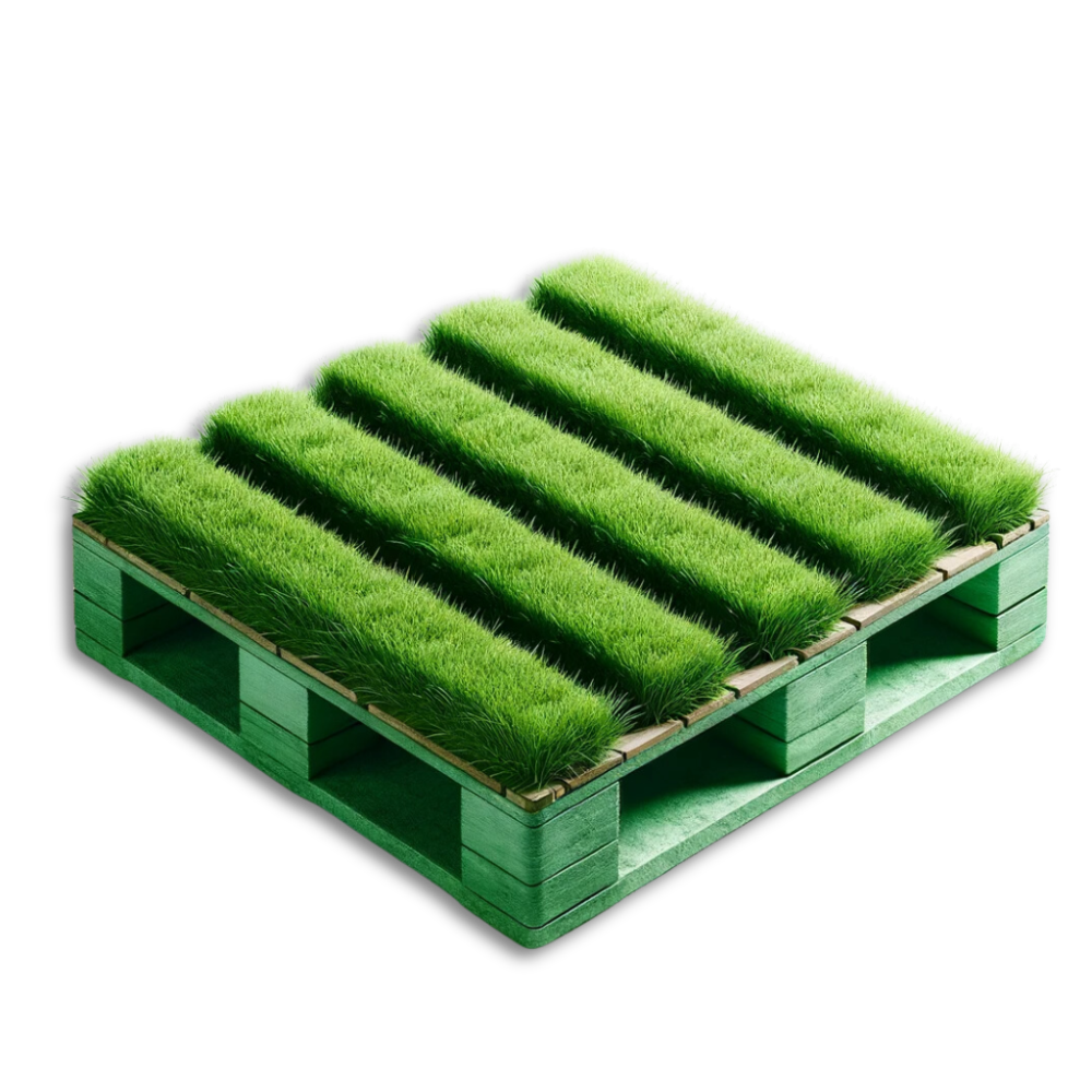 Bancale di legno con erba verde sopra.